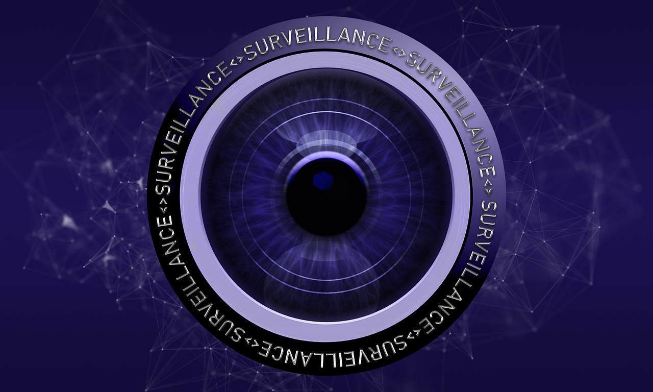 Videosurveillance03