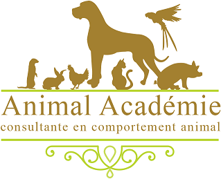 Animal Académie