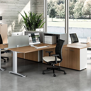 IDEA+ System_3